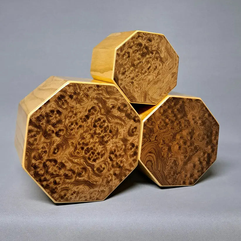BongoCajón 3.0 FIJO Tapa Raíz de Nogal Flamentr3lok - Reserva en Verde 🎄